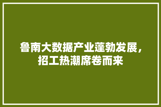 鲁南大数据产业蓬勃发展，招工热潮席卷而来