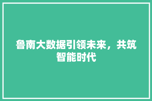 鲁南大数据引领未来，共筑智能时代