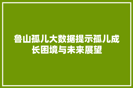鲁山孤儿大数据提示孤儿成长困境与未来展望