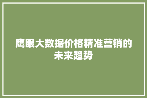 鹰眼大数据价格精准营销的未来趋势