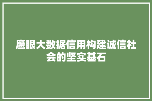 鹰眼大数据信用构建诚信社会的坚实基石  第1张