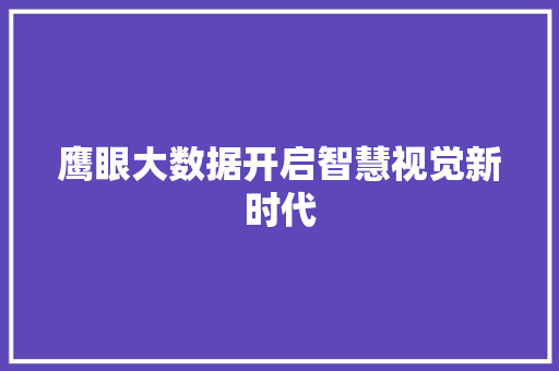 鹰眼大数据开启智慧视觉新时代