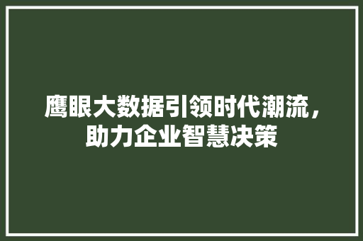 鹰眼大数据引领时代潮流，助力企业智慧决策