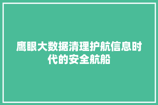 鹰眼大数据清理护航信息时代的安全航船