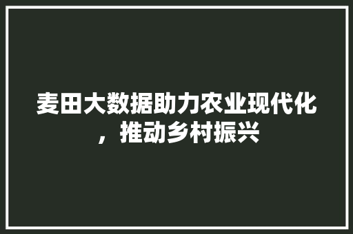 麦田大数据助力农业现代化，推动乡村振兴  第1张