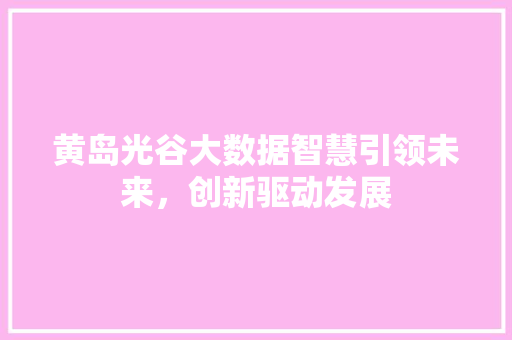 黄岛光谷大数据智慧引领未来，创新驱动发展
