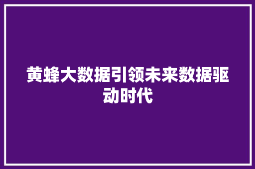 黄蜂大数据引领未来数据驱动时代