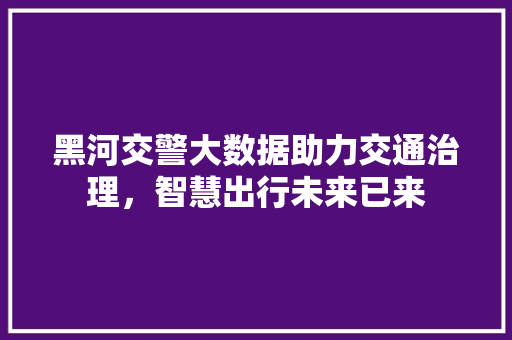 黑河交警大数据助力交通治理，智慧出行未来已来