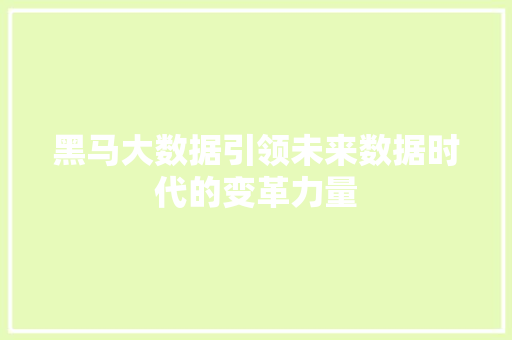 黑马大数据引领未来数据时代的变革力量