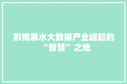 黔南惠水大数据产业崛起的“智慧”之地