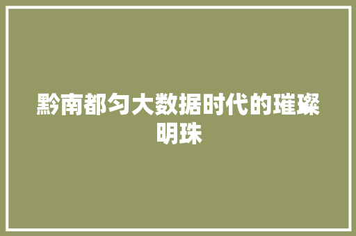 黔南都匀大数据时代的璀璨明珠