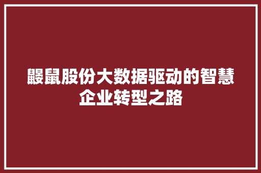 鼹鼠股份大数据驱动的智慧企业转型之路