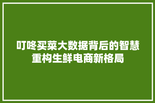 叮咚买菜大数据背后的智慧重构生鲜电商新格局