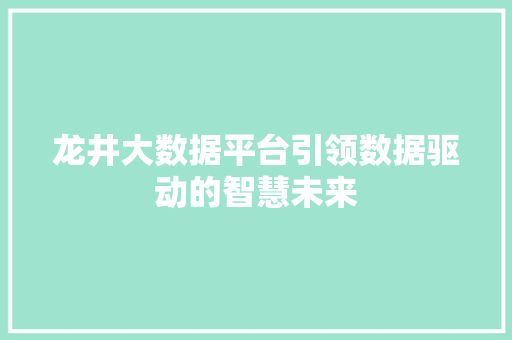 龙井大数据平台引领数据驱动的智慧未来