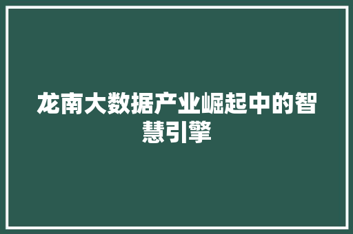 龙南大数据产业崛起中的智慧引擎