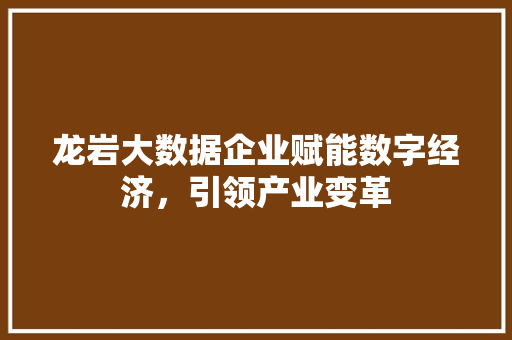 龙岩大数据企业赋能数字经济，引领产业变革