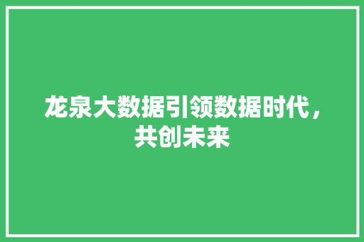 龙泉大数据引领数据时代，共创未来