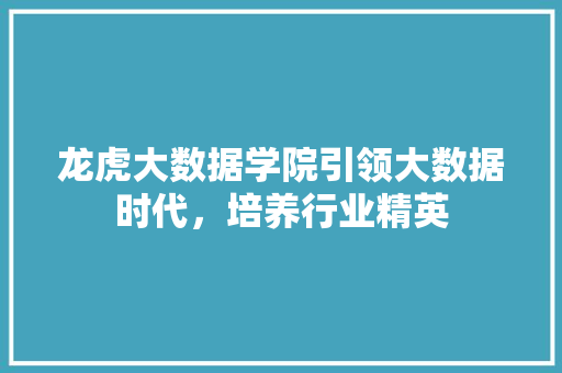 龙虎大数据学院引领大数据时代，培养行业精英