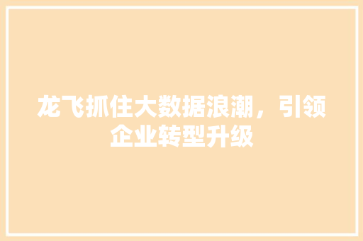 龙飞抓住大数据浪潮，引领企业转型升级