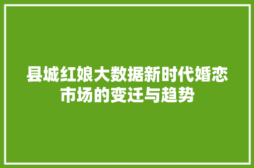 县城红娘大数据新时代婚恋市场的变迁与趋势
