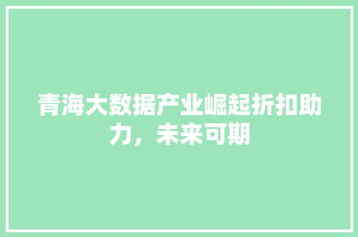 青海大数据产业崛起折扣助力，未来可期  第1张