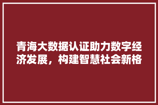 青海大数据认证助力数字经济发展，构建智慧社会新格局