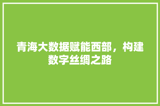青海大数据赋能西部，构建数字丝绸之路