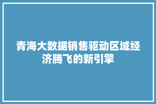 青海大数据销售驱动区域经济腾飞的新引擎