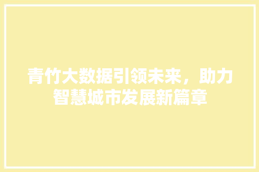 青竹大数据引领未来，助力智慧城市发展新篇章