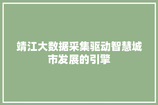 靖江大数据采集驱动智慧城市发展的引擎