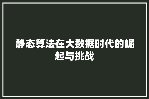 静态算法在大数据时代的崛起与挑战