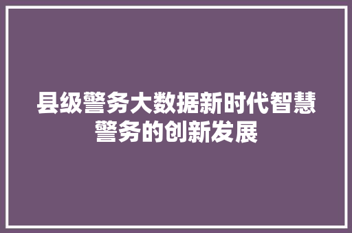 县级警务大数据新时代智慧警务的创新发展  第1张