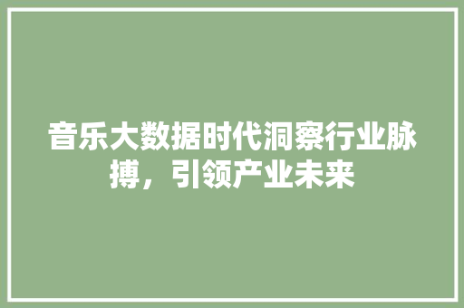 音乐大数据时代洞察行业脉搏，引领产业未来