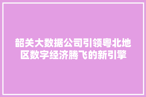 韶关大数据公司引领粤北地区数字经济腾飞的新引擎  第1张