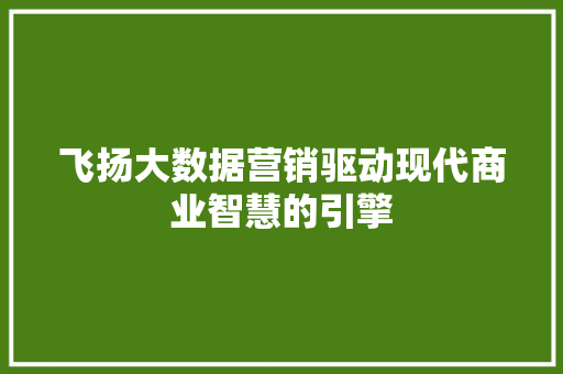 飞扬大数据营销驱动现代商业智慧的引擎  第1张