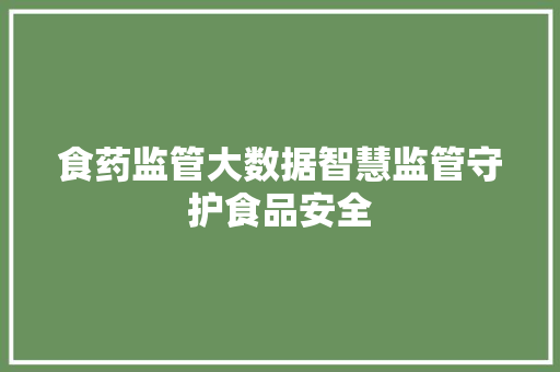 食药监管大数据智慧监管守护食品安全