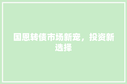 国恩转债市场新宠，投资新选择