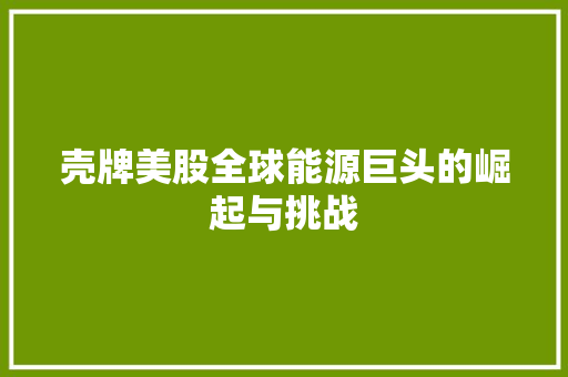壳牌美股全球能源巨头的崛起与挑战