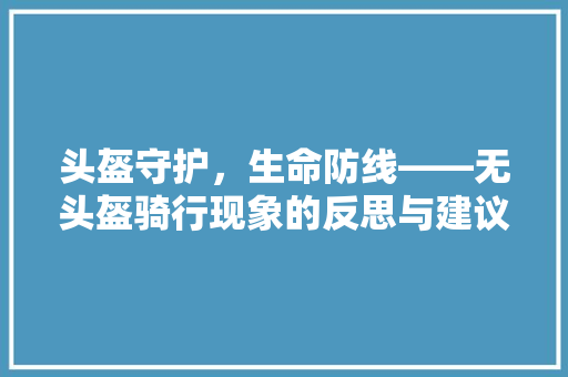 头盔守护，生命防线——无头盔骑行现象的反思与建议  第1张