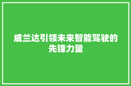 威兰达引领未来智能驾驶的先锋力量