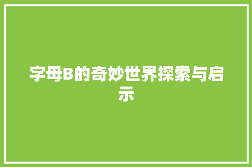 字母B的奇妙世界探索与启示