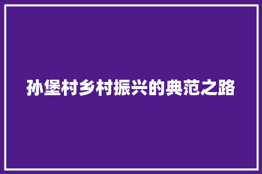 孙堡村乡村振兴的典范之路