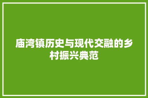 庙湾镇历史与现代交融的乡村振兴典范