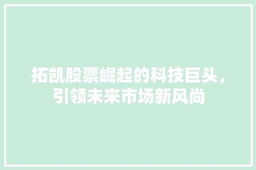 拓凯股票崛起的科技巨头，引领未来市场新风尚