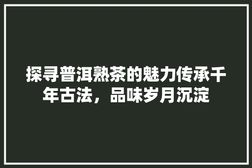 探寻普洱熟茶的魅力传承千年古法，品味岁月沉淀