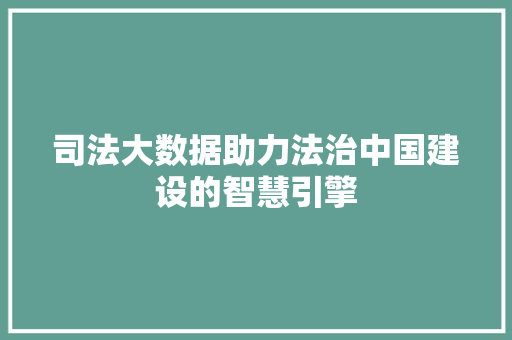 司法大数据助力法治中国建设的智慧引擎  第1张