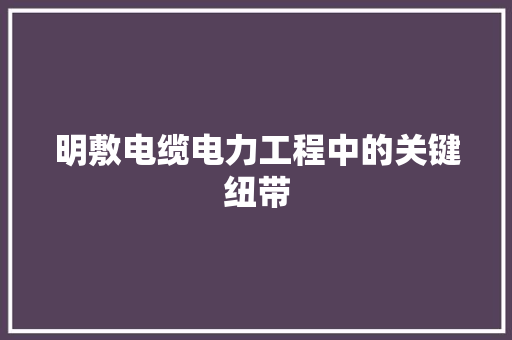 明敷电缆电力工程中的关键纽带