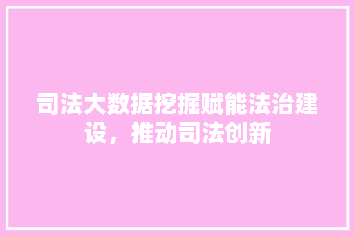 司法大数据挖掘赋能法治建设，推动司法创新  第1张