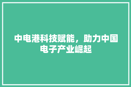 中电港科技赋能，助力中国电子产业崛起