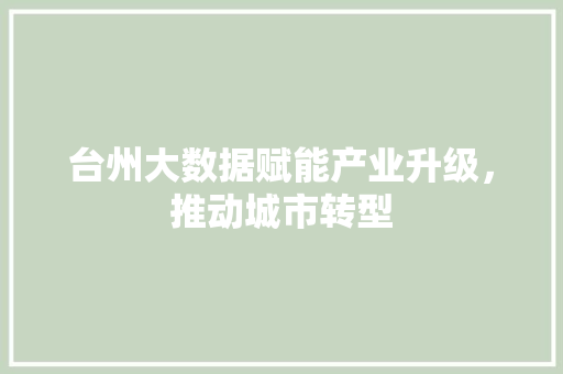 台州大数据赋能产业升级，推动城市转型  第1张